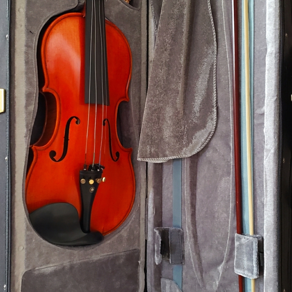 Brand new beautiful violin... complete with case and accessories
